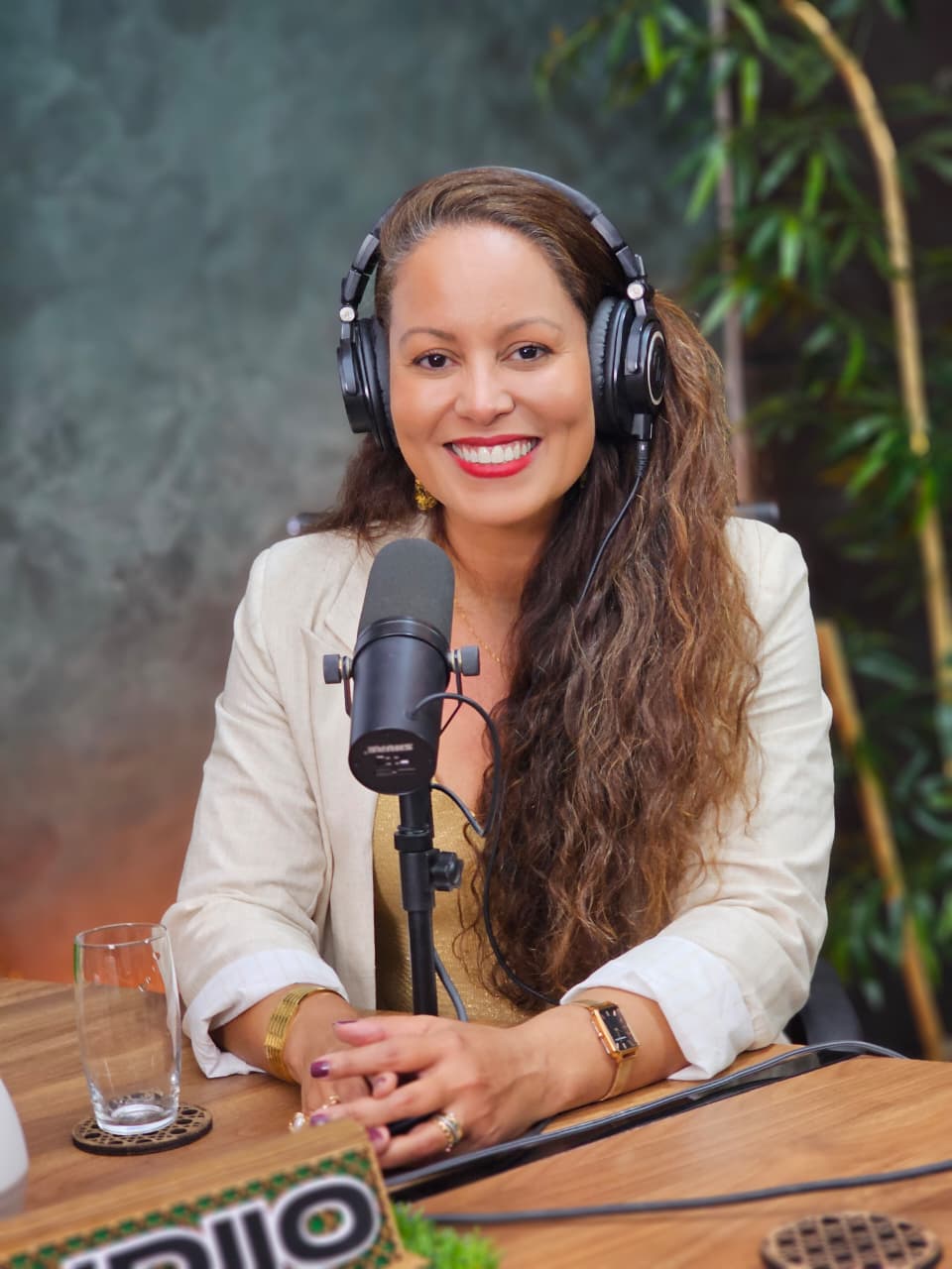 Pod Na Bolsa: Primeira Temporada no Forno